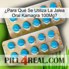 ¿Para Qué Se Utiliza La Jalea Oral Kamagra 100Mg new08